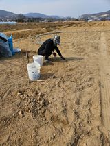 팜모닝 기타작물·영농일지 게시글 이미지