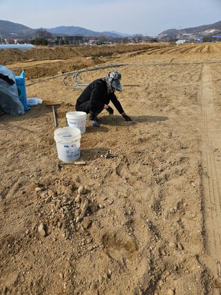 장은주님의 기타작물 · 영농일지 작성글 사진
