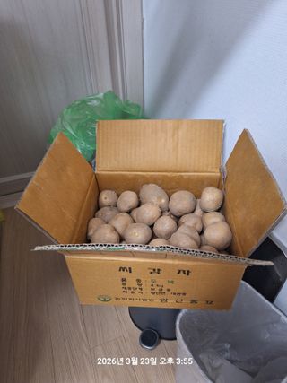 이수홍(이창희)님의 기타작물 · 영농일지 작성글 사진