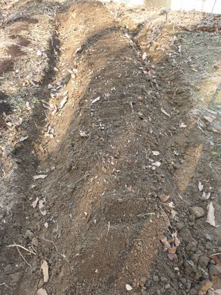 샤이니바다님의 기타작물 · 영농일지 작성글 사진