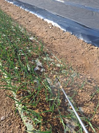 이한재님의 사과 · 영농일지 작성글 사진