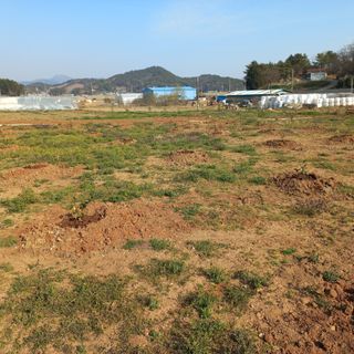 김건우님의 기타작물 · 영농일지 작성글 사진