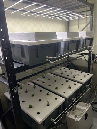 정종배님의 기타작물 · 영농일지 작성글 사진