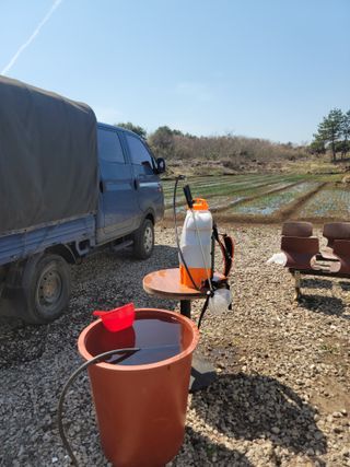 개인교수님의 마늘 · 영농일지 작성글 사진