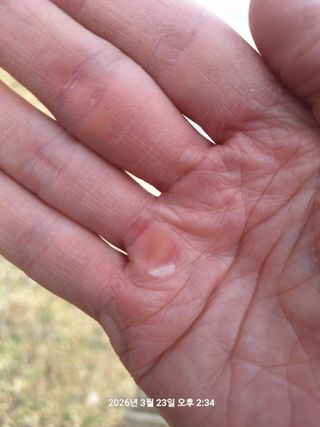 이수홍(이창희)님의 기타작물 · 영농일지 작성글 사진