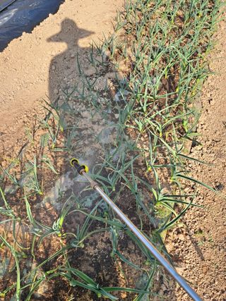 이한재님의 사과 · 영농일지 작성글 사진