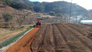 이순기님의 고추 · 영농일지 작성글 사진