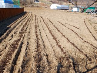 김진현님의 기타작물 · 영농일지 작성글 사진