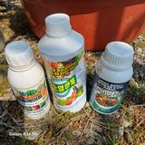 팜모닝 기타작물·영농일지 게시글 이미지