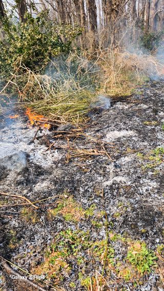 정헌경님의 매실 · 영농일지 작성글 사진