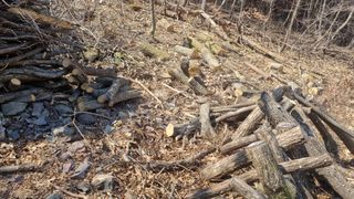 김동명님의 작성글 사진