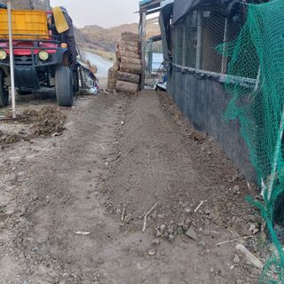 가로수님의 기타작물 · 영농일지 작성글 사진