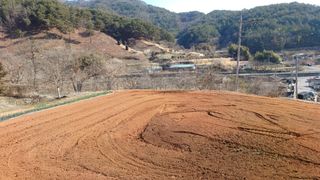 이순기님의 고추 · 영농일지 작성글 사진