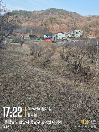 매실21434님의 기타작물 · 영농일지 작성글 사진