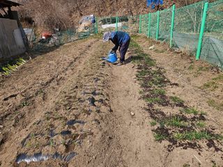 경달현님의 기타작물 · 영농일지 작성글 사진
