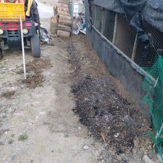 가로수님의 기타작물 · 영농일지 작성글 사진