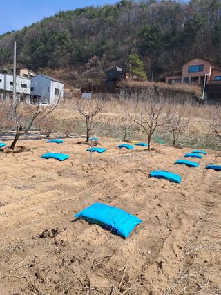 구강회님의 기타작물 · 영농일지 작성글 사진