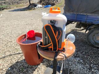 개인교수님의 마늘 · 영농일지 작성글 사진