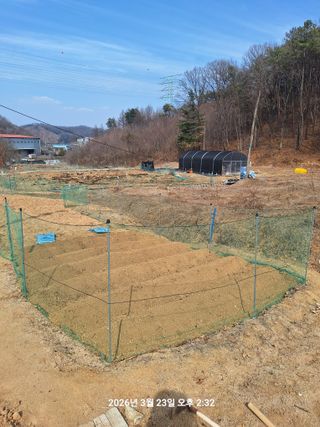 이수홍(이창희)님의 기타작물 · 영농일지 작성글 사진