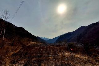 황인근님의 블루베리 · 영농일지 작성글 사진