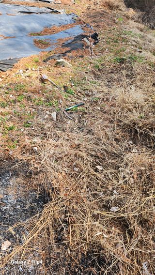 정헌경님의 매실 · 영농일지 작성글 사진