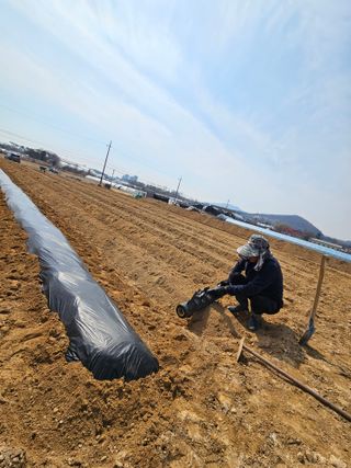 장은주님의 기타작물 · 영농일지 작성글 사진