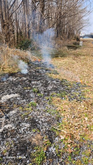 정헌경님의 매실 · 영농일지 작성글 사진