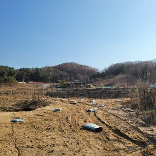 화려한이글님의 기타작물 · 영농일지 작성글 사진