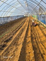 팜모닝 두릅·영농일지 게시글 이미지