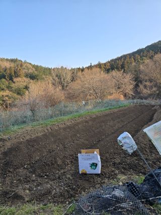 김대기님의 기타작물 · 영농일지 작성글 사진