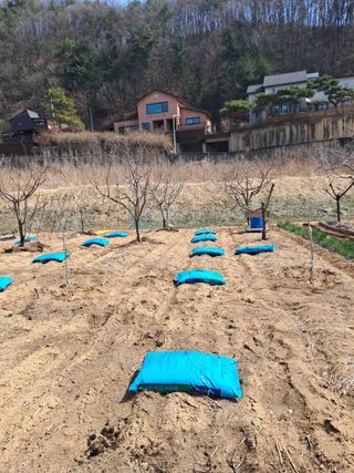 구강회님의 기타작물 · 영농일지 작성글 사진