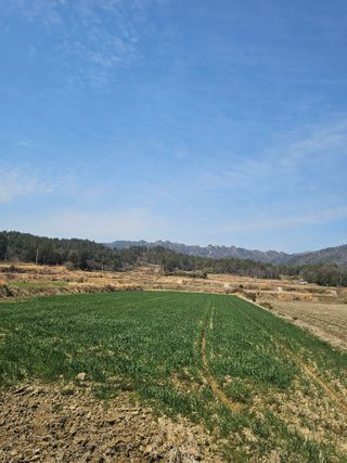 차춘석 님의 기타작물 · 영농일지 작성글 사진