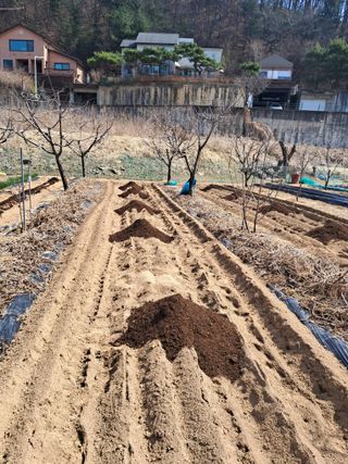 구강회님의 기타작물 · 영농일지 작성글 사진