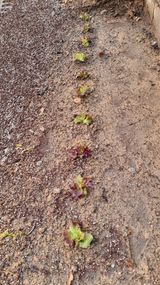 권혁렬님의 작성글 사진