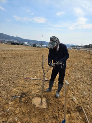 장은주님의 기타작물 · 영농일지 작성글 사진