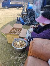 팜모닝 감자·영농일지 게시글 이미지