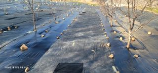 박종화님의 기타작물 · 영농일지 작성글 사진