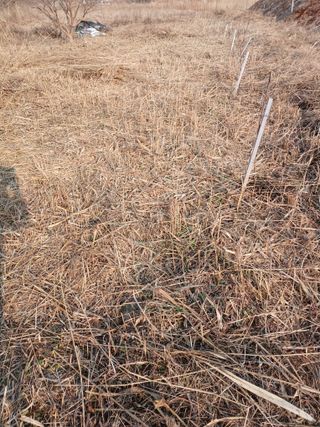 김윤철님의 기타작물 · 영농일지 작성글 사진