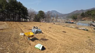  조약돌님의 기타작물 · 영농일지 작성글 사진