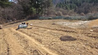  조약돌님의 기타작물 · 영농일지 작성글 사진