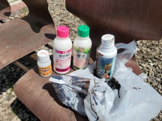 개인교수님의 마늘 · 영농일지 작성글 사진