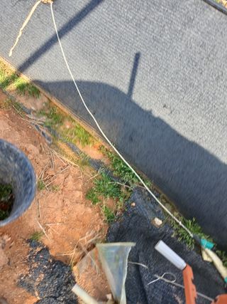 최유순님의 마늘 · 영농일지 작성글 사진