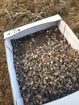 팜모닝 기타작물·영농일지 게시글 이미지