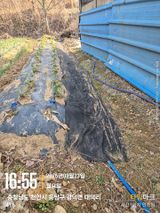 팜모닝 기타작물·영농일지 게시글 이미지