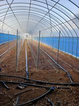 팜모닝 기타작물·영농일지 게시글 이미지