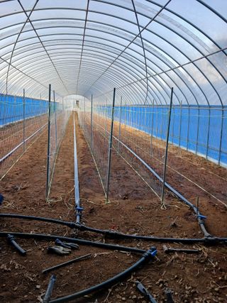 김영경님의 기타작물 · 영농일지 작성글 사진