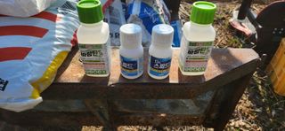 (자두)가랑농장님의 자두 · 영농일지 작성글 사진