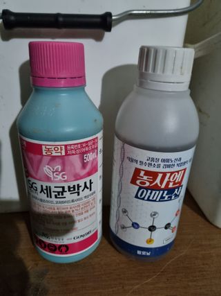 논산푸른팜님의 기타작물 · 영농일지 작성글 사진