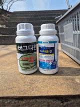 팜모닝 포도·영농일지 게시글 이미지