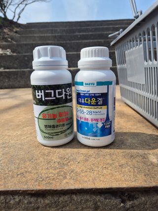 조성민님의 포도 · 영농일지 작성글 사진